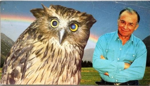 Iliescu Cucuveaua Ion Barladeanu